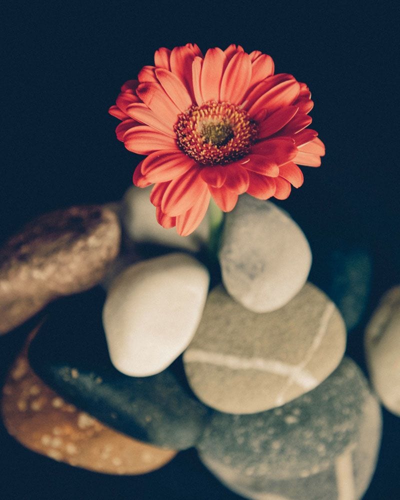 pebbles with orange silk flower