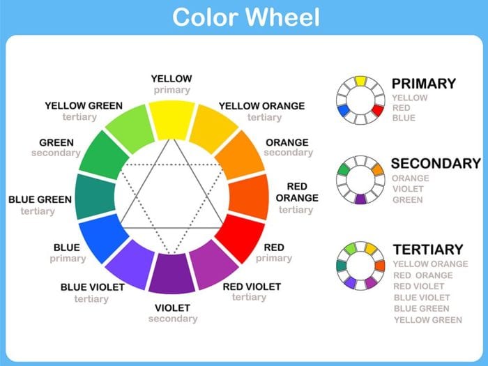 color wheel brand identity