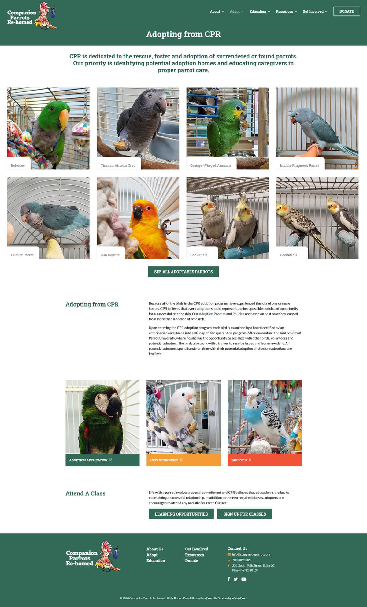 Companion Parrots ReHomed website how to adopt page screenshot