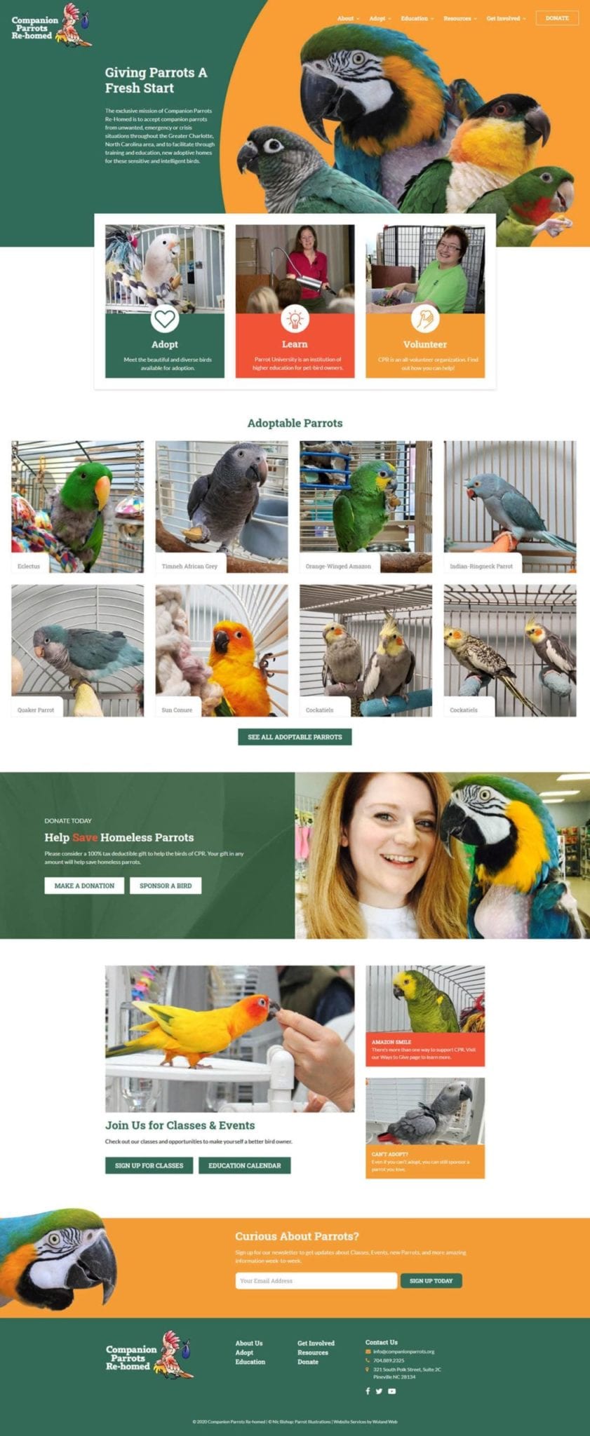 Companion Parrots ReHomed website adoption page screenshot